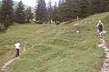 2011-08- (40)